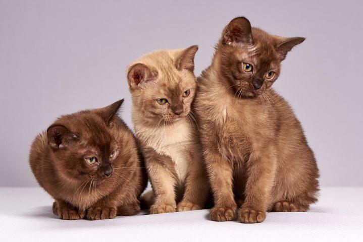 Die Unterkunft Steht Ab Sofort Nicht Mehr Zur Verfugung Appartment Is Finis 1 June - Thanks For All Your Andreas & 3 Cats ลูเบค ภายนอก รูปภาพ